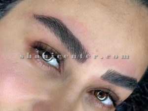 میکروپیگمنتیشن ابرو (2)