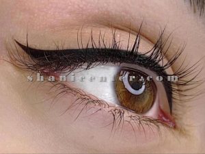 میکروبلیدینگ خط چشم 12
